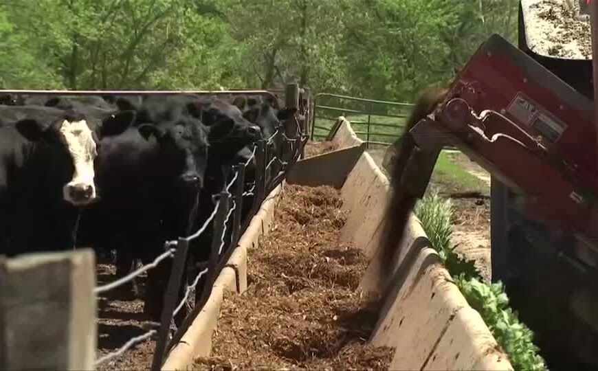 U.S. Unveils $12 Billion Aid Package for Farmers Affected by Trade Disruptions