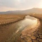Tariffs, Drought, and Rising Costs Define Global Agriculture in 2025