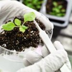 PI AgSciences Expands Global Reach With Stronger Focus on Sustainable Crop Solutions