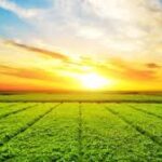 Philippines 2026 Budget Boosts Agriculture Spending to Support Farm Sector Growth