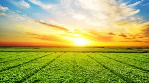 Philippines 2026 Budget Boosts Agriculture Spending to Support Farm Sector Growth