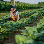Global Biodiversity Funding Falls Short, Posing Risks to Agriculture and Food Security