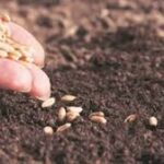 Agroallianz Launches New Biostimulant and Adjuvant Line to Boost Pasture Productivity in Brazil