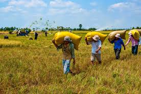 Agriculture News Focuses on Policy, Technology, and Climate Adaptation Trends