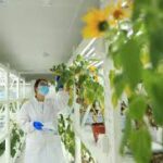 China Emerges as a Global Leader in Luxury Food Production