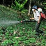 Saudi Arabia Proposes Tough New Measures Against Banned and Counterfeit Pesticides