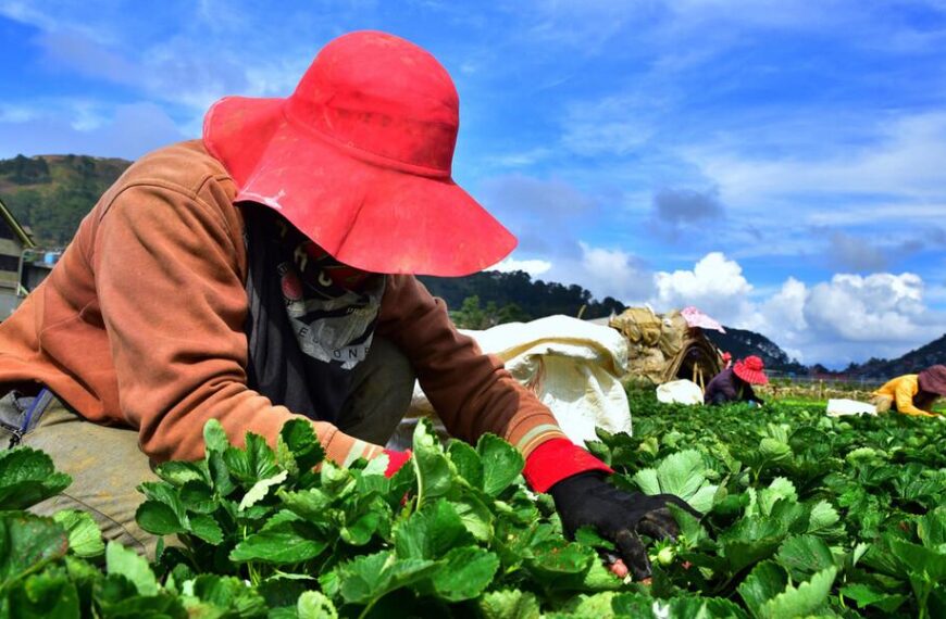 Global Student Agriculture Exchange Strengthens Sustainable Farming Education