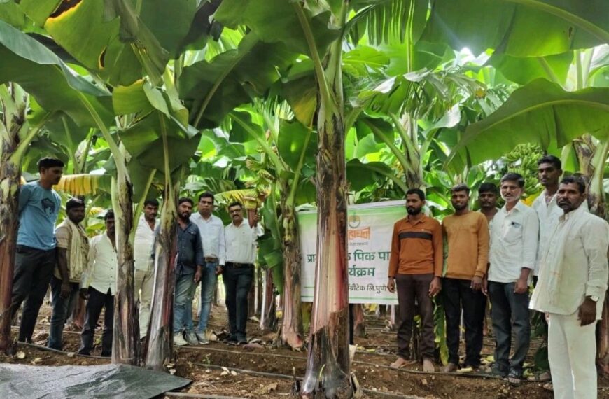 Deepak Fertilizers Empowers Banana Farmers in Solapur with Advanced Nutrition Solutions