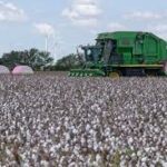 ₹1.63 Lakh Crore Allocation Reaffirms Agriculture as the Backbone of Economic Growth