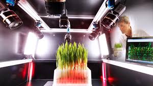EU Relaxes Rules on Gene-Edited Crops, Opening New Opportunities for Agricultural Biotechnology