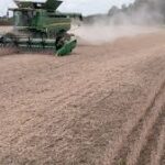 U.S. Farmers Confront Heightened Market Volatility Amid Policy and Trade Shifts