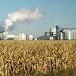 Grain and Soybean Futures Rise as Ethanol Production Slows