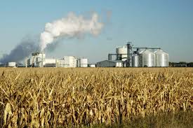 Grain and Soybean Futures Rise as Ethanol Production Slows