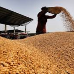 Black Sea Region Keeps Global Grain Markets on Edge