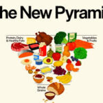 U.S. Agriculture Secretary Signals Shift in Dietary Guidelines Toward Whole Foods