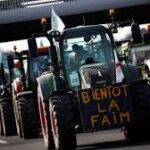 Mercosur–EU Trade Agreement Brings Uneven Effects Across Agricultural Sectors