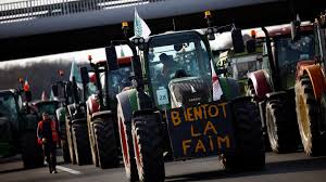 Mercosur–EU Trade Agreement Brings Uneven Effects Across Agricultural Sectors