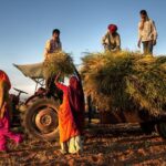 Technology-Driven Agricultural Education Strengthens India’s Farming Sector