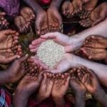 Global Forum Highlights Rising Food and Water Security Risks Amid Climate Pressures