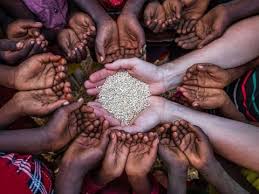 Global Forum Highlights Rising Food and Water Security Risks Amid Climate Pressures