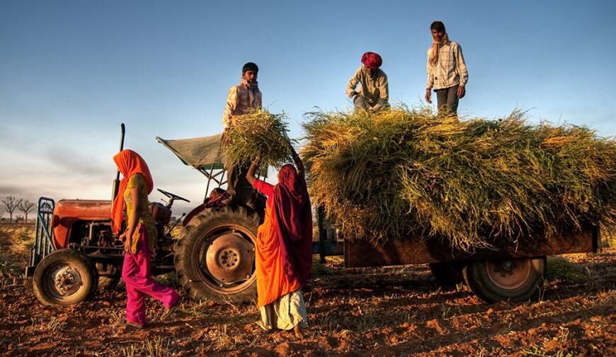 Technology-Driven Agricultural Education Strengthens India’s Farming Sector