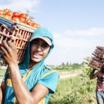FAO Highlights Employment Trends in Global Agri-Food Systems