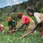 Haryana Explores Trade and Agricultural Cooperation with Tanzania to Expand Global Opportunities for Farmers