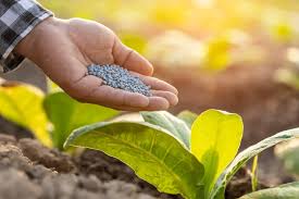 India’s Fertiliser Sector Strengthens Nutrient Supply During Rabi Season