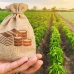 Agritech Investment Success Amid Falling Crop Prices