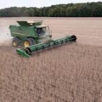 USDA Announces $12 Billion Farm Aid Package, Focuses on Rice and Cotton Growers