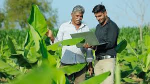 IFAD President Emphasizes Agriculture as a Pathway to Peace and Global Stability