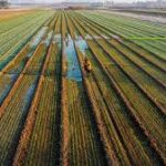 Shifting Geography Reshapes Global Agricultural Machinery Trade