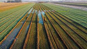 Shifting Geography Reshapes Global Agricultural&hellip;