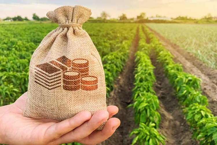Agritech Investment Success Amid Falling Crop Prices