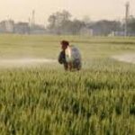 World Bank Port Efficiency Report Highlights Global Trade Bottlenecks