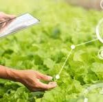 Major Agricultural Industry Commentary for 2026