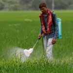 Government Invites Public Feedback on Draft Pesticides Management Bill, 2025