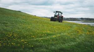 UK Farming Sector Enters 2026 on “Firmer Ground”