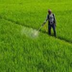 Global Herbicides Market Set for Major Shift Amid Sustainable Farming Push