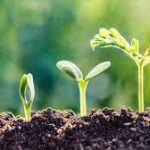 Corporate and Financial Sectors Elevate Soil Health as a Strategic Priority