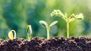 Corporate and Financial Sectors Elevate Soil Health as a Strategic Priority