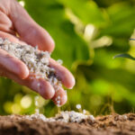 Biological Fertilizers Emerge as a Key Solution to Pollution and Global Food Insecurity
