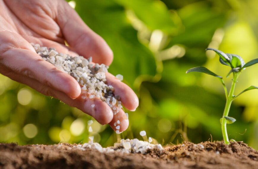 Biological Fertilizers Emerge as a Key Solution to Pollution and Global Food Insecurity