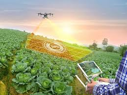 Data Gaps Threaten Progress on Climate Goals in Agriculture