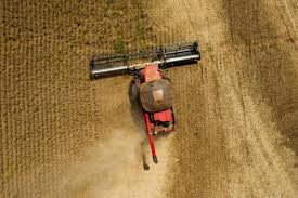 BASF Raises R$1.4 Billion to Finance Agricultural Input Purchases in Brazil