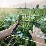 Analysis: Data and AI Systems Set to Transform Global Agriculture