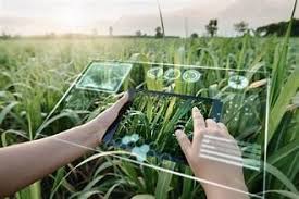 Analysis: Data and AI Systems Set to Transform Global Agriculture
