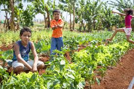 Global Agriculture Financing Expands as GAFSP Channels Funds to Private Sector