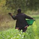 Indigo Agriculture Signs Major Carbon Removal Deal with Microsoft to Boost Regenerative Farming
