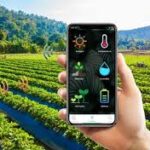 AI-Based Pest Identification Tools Strengthen Global Crop Protection Efforts